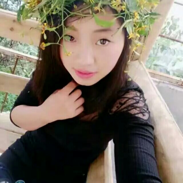 小海豚_33490460