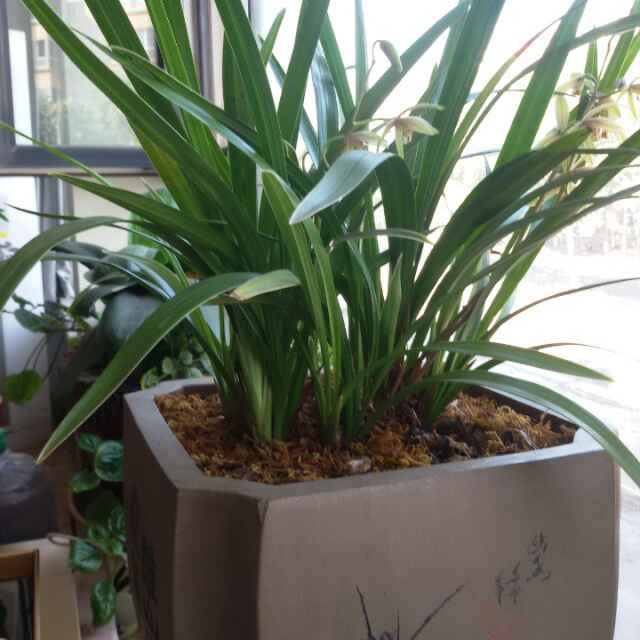 书友20170725205328