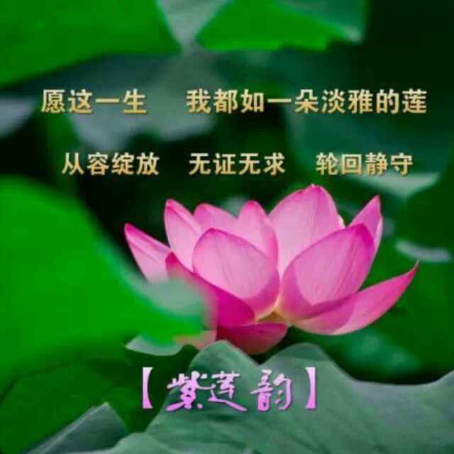 书友20170129111334