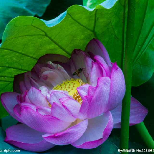 书友20170405100408