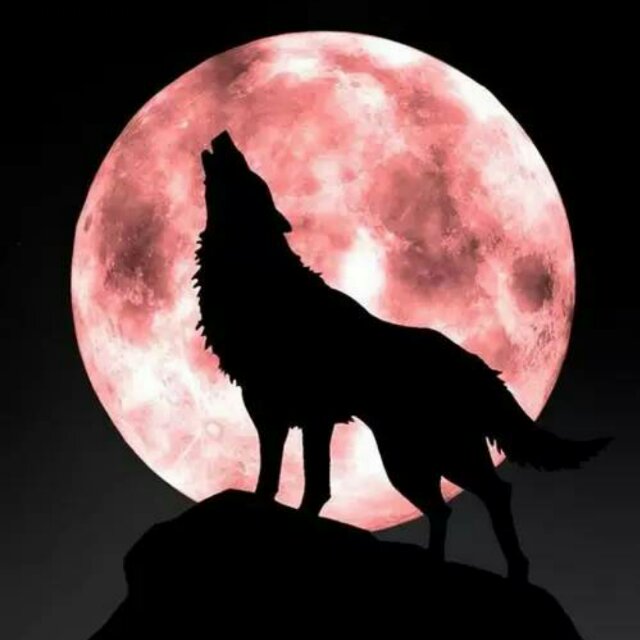 书友20161006123618