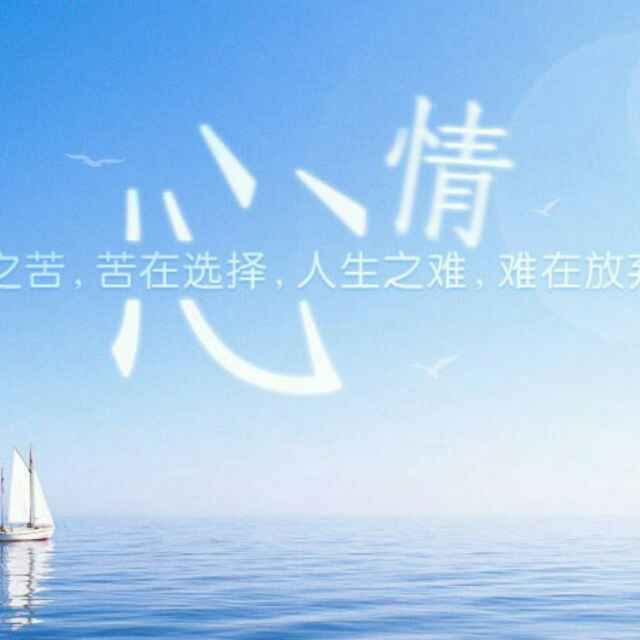 空白   (●—●)格式化