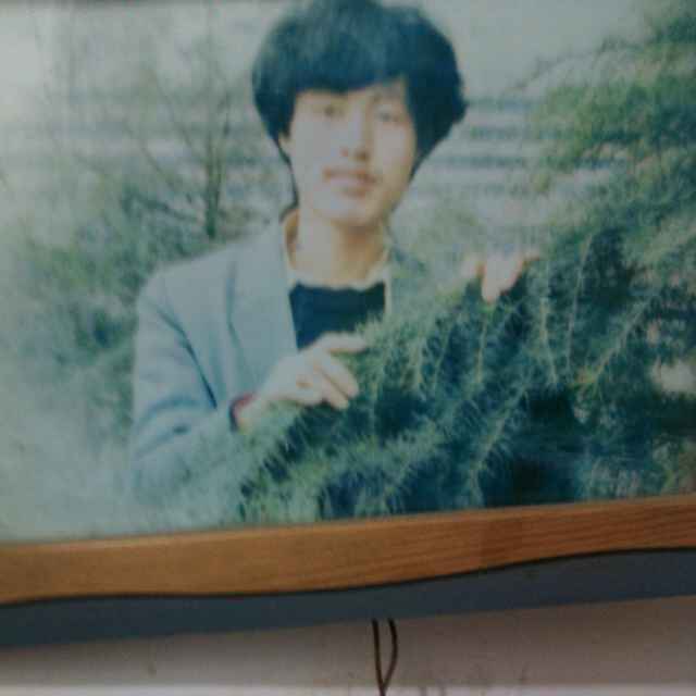 张敏