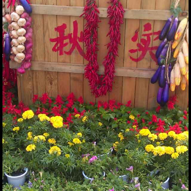 王春明