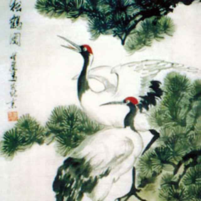 松鹤