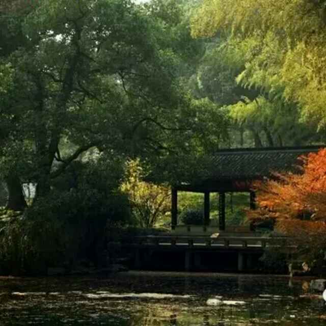 张卫国