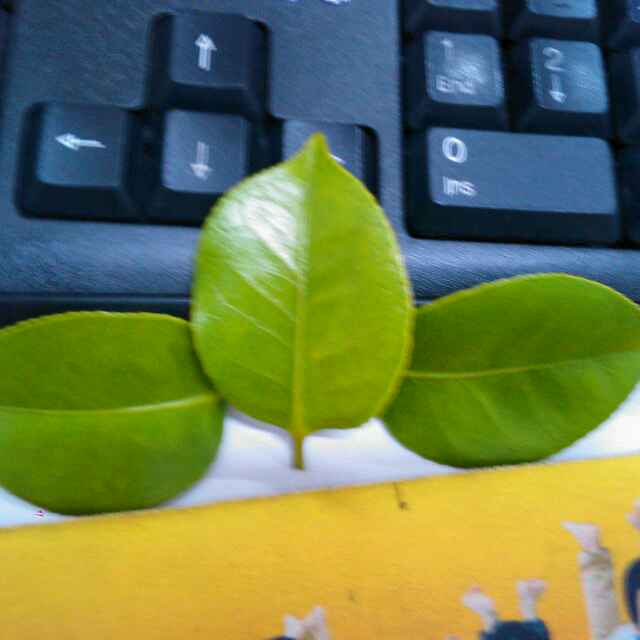    