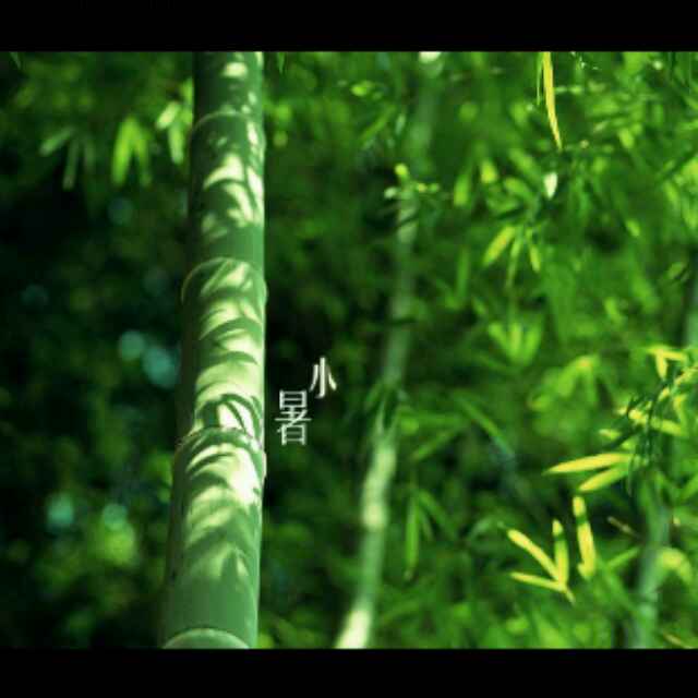 小雨哥