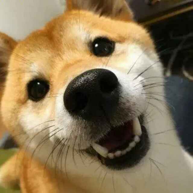 嬉皮士