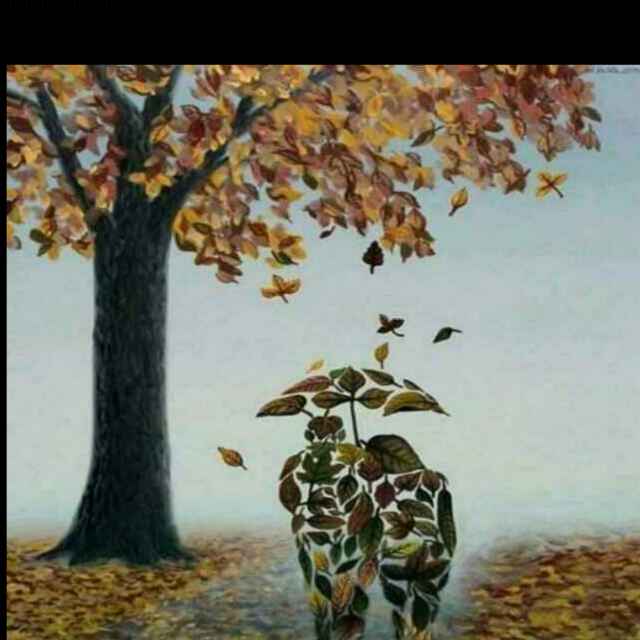 善行无痕:听风看雨闻土香