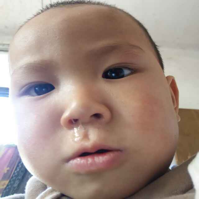 贺东春