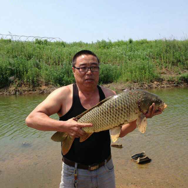 。土匪