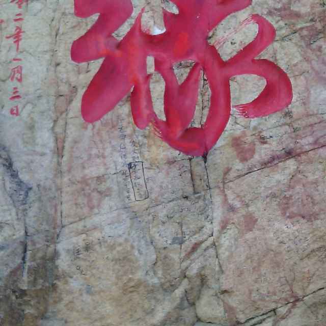 王泽