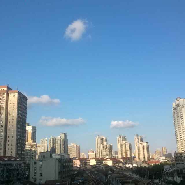 李新天