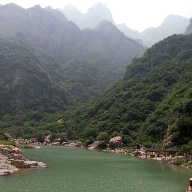 老曹