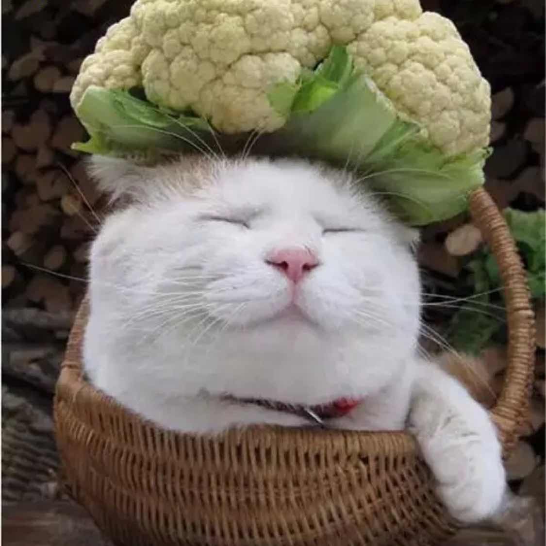 书友20170208134020