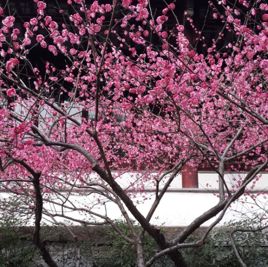 书友20170131153616