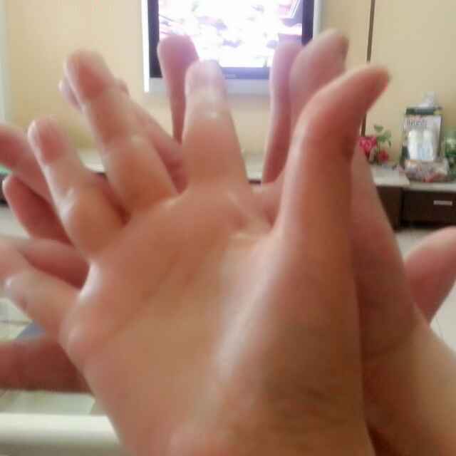 莅临