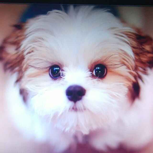 不由自主的转身就忘???!!