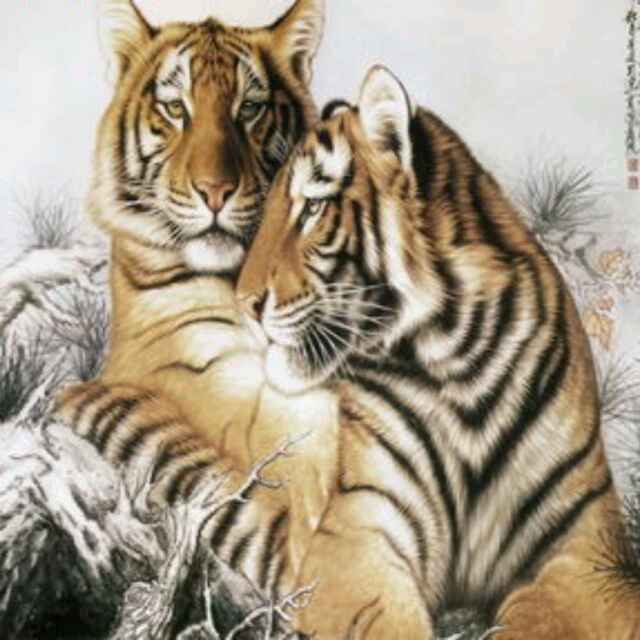 闲看