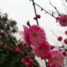 于归宜之的头像