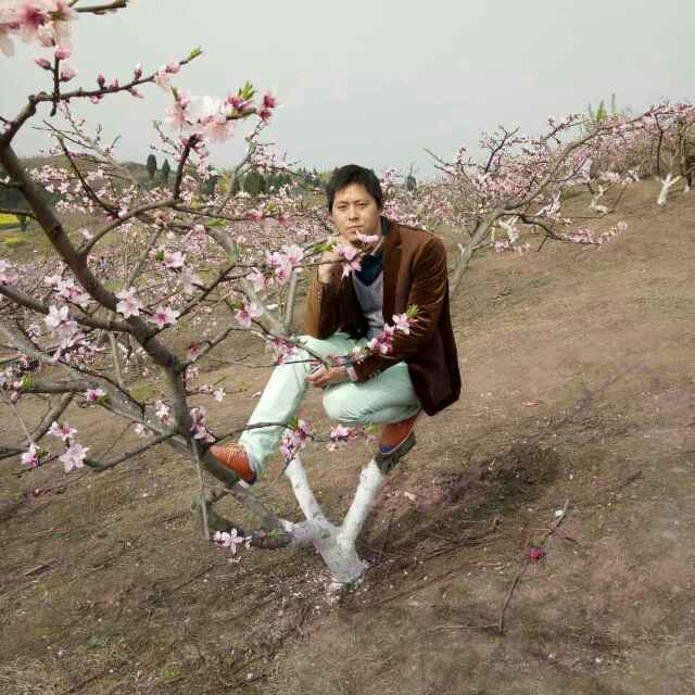 小海豚_32780044