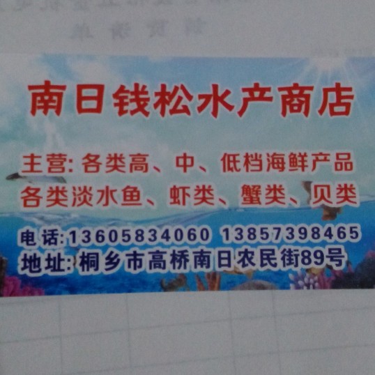 南日钱松水产海仙批发