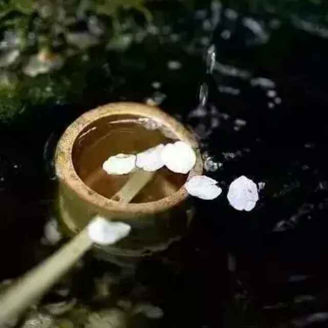 *重新*起航*的船