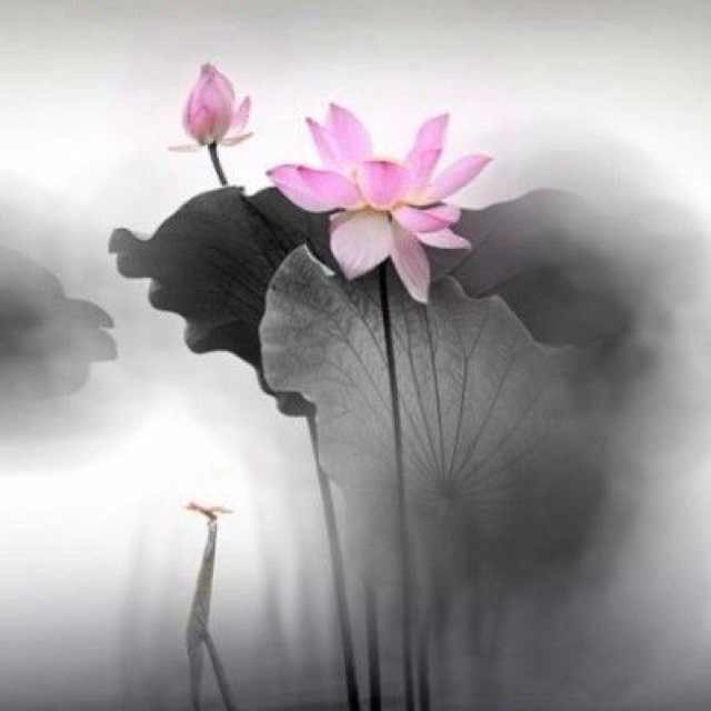 书友20170830155241