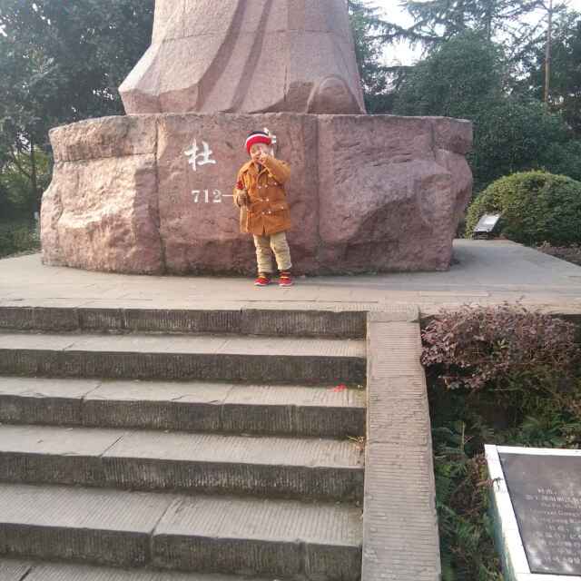 斐哥