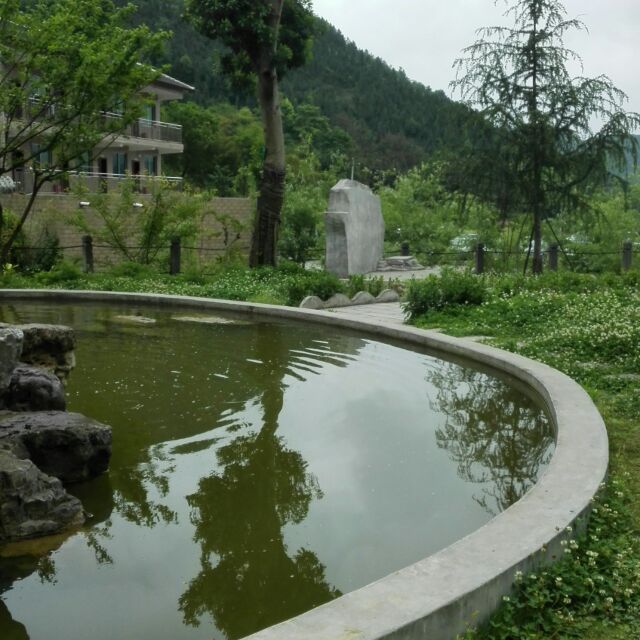 忘忧草2823