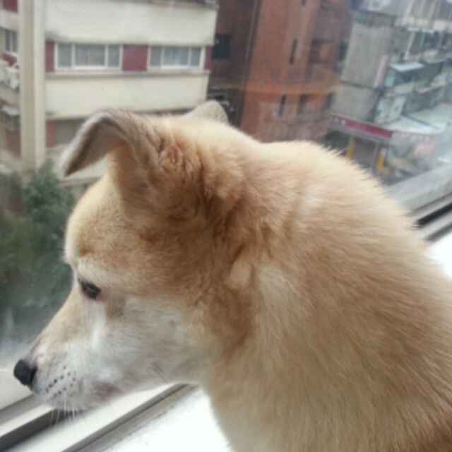 李滿滿