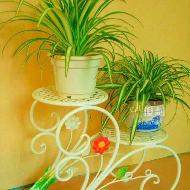 专业防水，15599166691