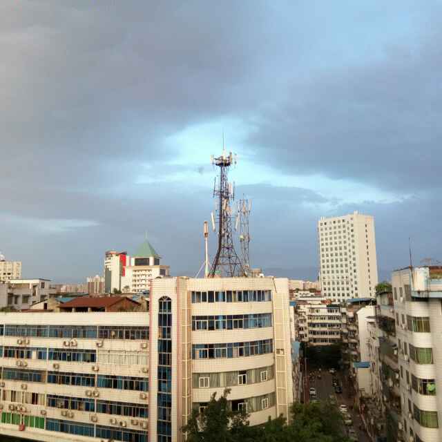 小海豚_45776018