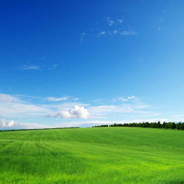 问世间情为何物48385