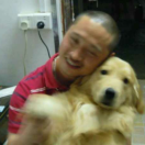 留感