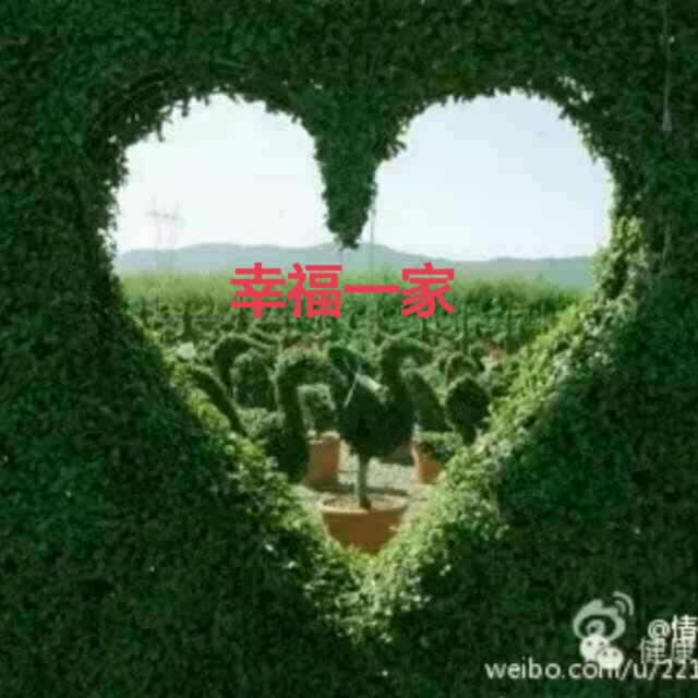 阳光28856