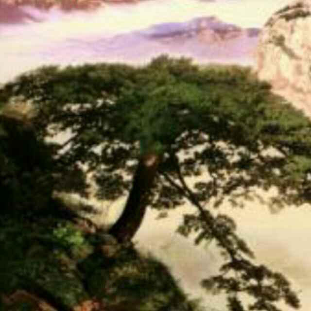 清春