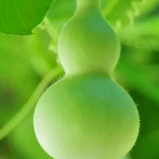 休闲