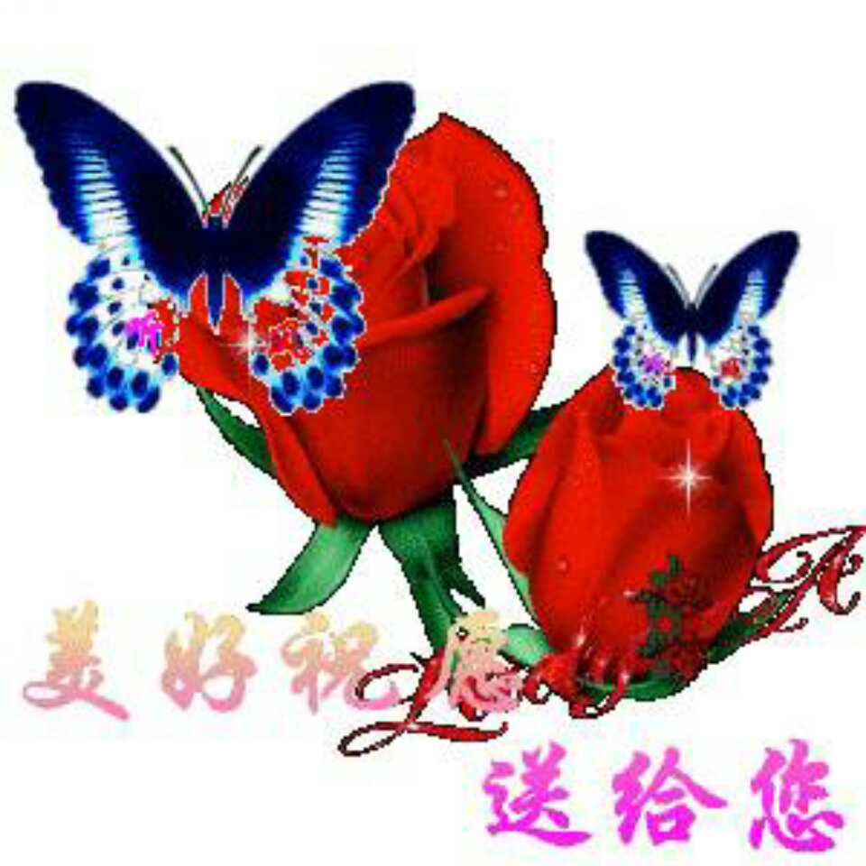 陈志萍