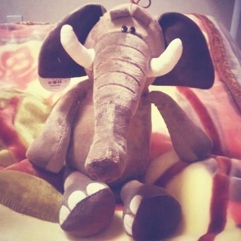 杰德1.8，3008 2.0，嘉旅1.6，该选谁，