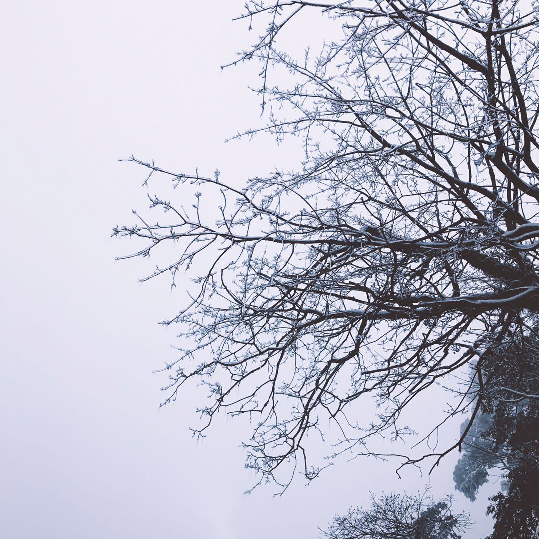'Akihi