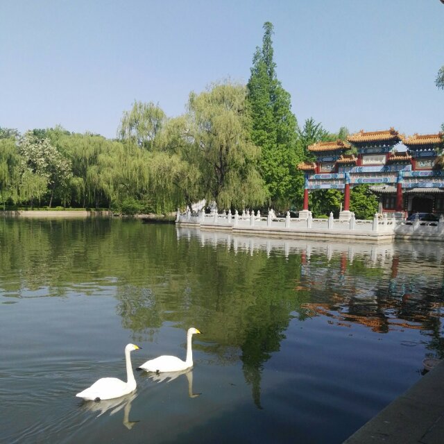 铜文