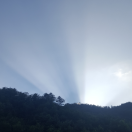 紫气东来