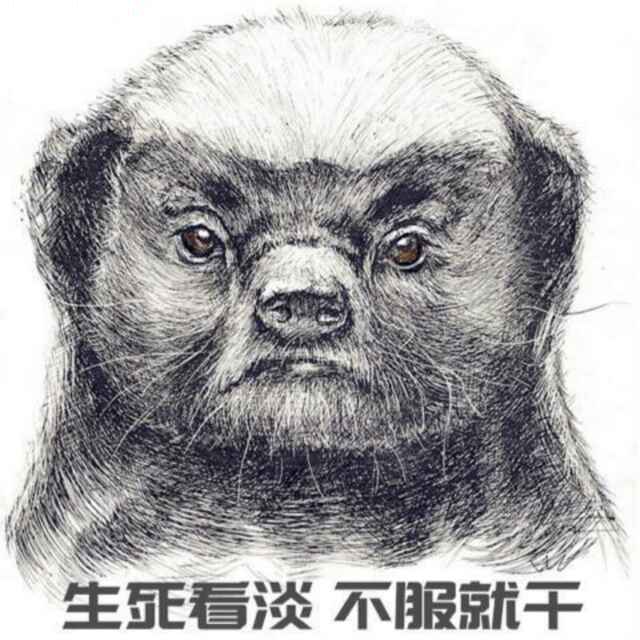 小海豚_37832412