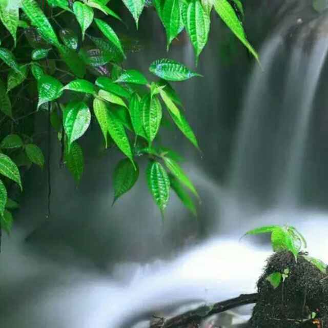 永远快乐潘伟汉