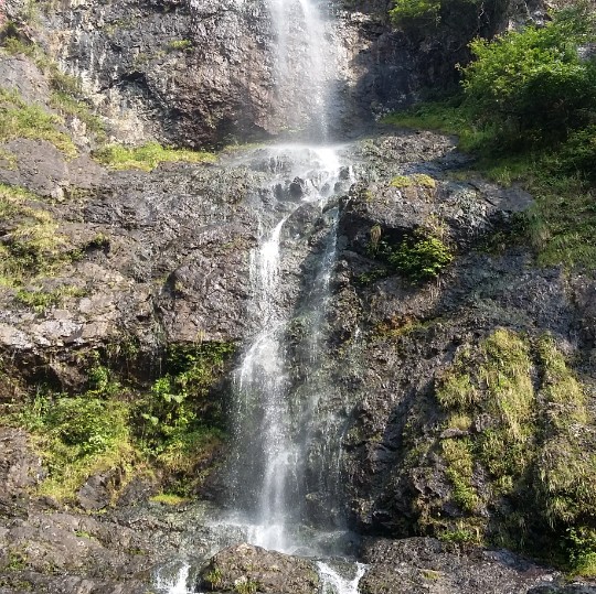 家和万事兴69859