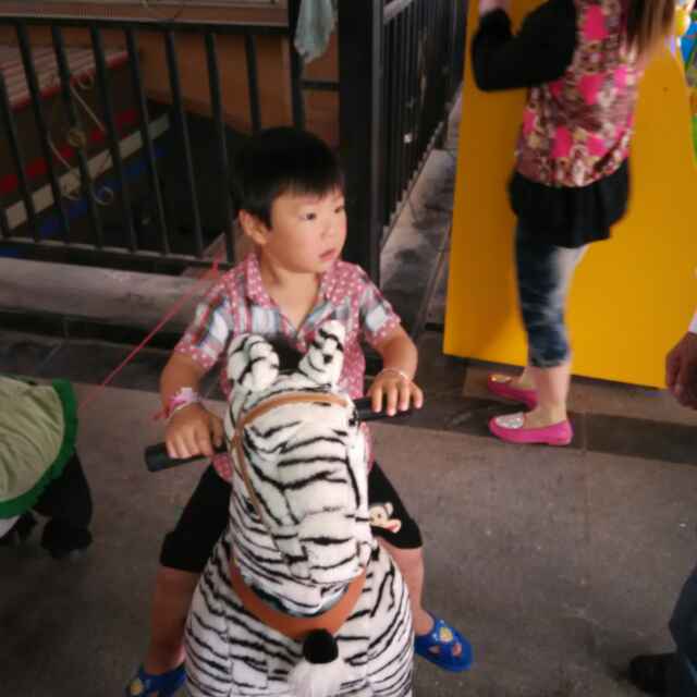 小海豚_35176711