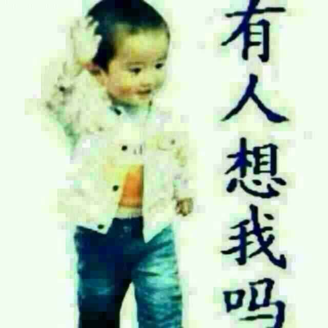 小海豚_39688173