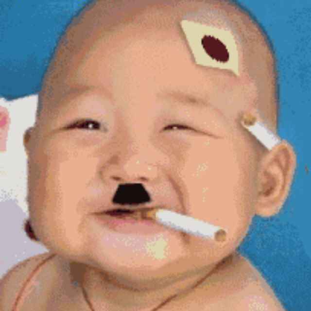 聪明盖世的糊涂蛋